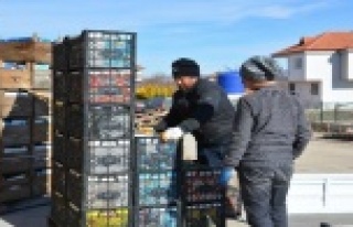 Coğrafi işaretli tonlarca karyağdı armudu alıcı...