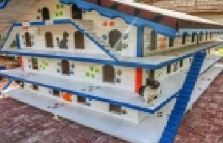 DokumaPark’a kedi apartmanı