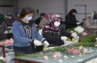 Dünyadaki aşıkları mutlu ediyorlar ama onların...