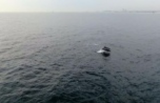 Faturası yunuslara çıkartılan hamsi yokluğunda...