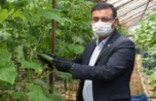 Gündoğmuş, Alanya'ya bağlandı