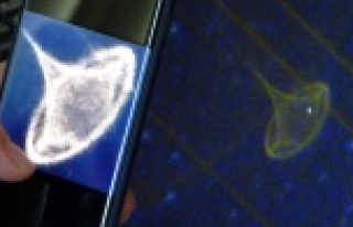 Gündoğmuş'ta çekilen ufo görüntüleri NASA...