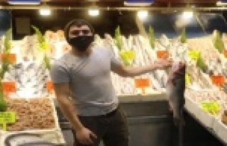 Hamsiye gelen av yasağı tüm balıkları etkiledi