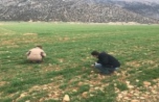 Hububat alanlarında hastalık takibi ve kuraklık...