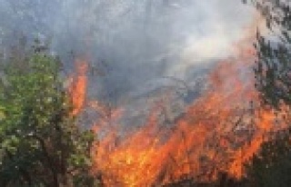 Komşuda kırsal alan yangını