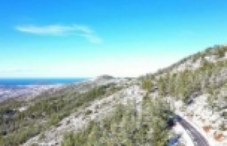 Komşuda Yeşil beyaz görsel şölen