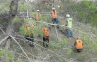 Köylülere uygulamalı mesleki yeterlilik sınavı