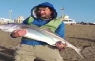 Oltası kopmasın diye 7 kiloluk balığı sürüyerek...