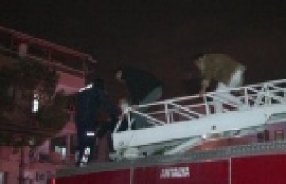 Otelde korkutan yangın