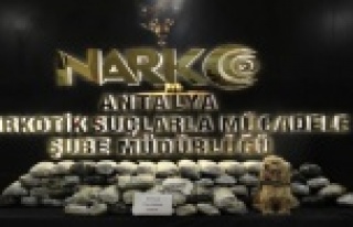 Polis esrar zulasını elektrik trafosunda buldu