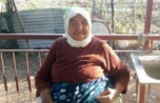 Yaşlı kadın çıkan yangında hayatını kaybetti