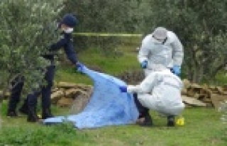 Ağaç kesme tartışmasında ağabeyini öldüren...