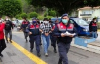 Ağaç kesme tartışmasında ağabeyini öldüren...