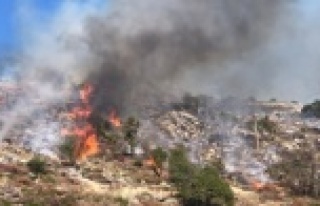 Alanya'da korkutan yangın