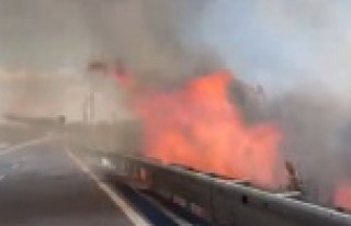 Alanya'da muz bahçesi alev alev yandı