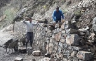 Alanya’da mezarlık onarımı