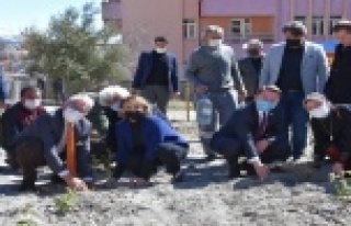 ALKÜ Akseki MYO gül ve gül yağı üretecek