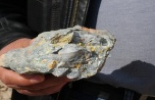 Altın rezervi bulunan köyde büyük heyecan!