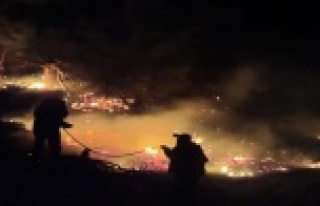 Antalya'daki yangında 1 hektar kızılçam ormanı...