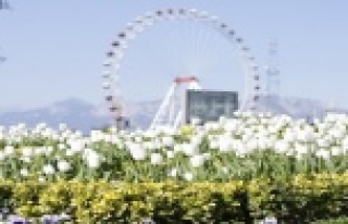 Antalya’da açan 161 bin lale ve sümbül görenleri...