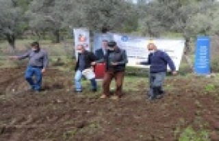 “Arı Otu” tohumu desteği yapıldı