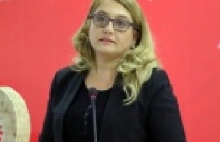 Avokadolu fotoğraf yarışmasına yoğun ilgi