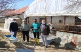 Besicilere destek için saha calışması