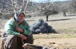 Fatma teyzenin 62 yıllık çobanlık hikayesi