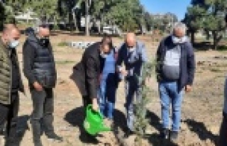 Gazeteciler 250 adet fidanı toprakla buluşturdu