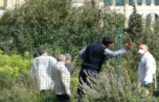 Hastane yerleşkesinde gizemli kemikler