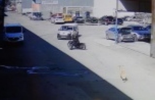 Köpekten korkan motosikletli otomobile çarptı:...