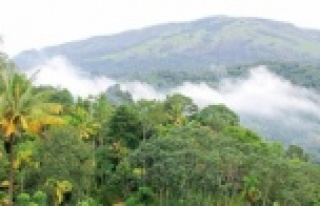 Meteoroloji'den Alanya'ya 11 gün 'Muson'...