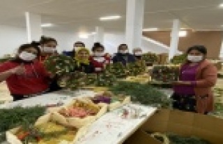 Pandemi döneminde satamadığı çiçekleri kurutup...