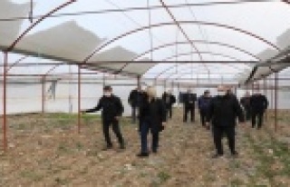 Tarıma akıllı dijital takip geliyor