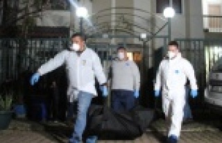 Villada annesini, babasını ve kız kardeşini öldürüp...