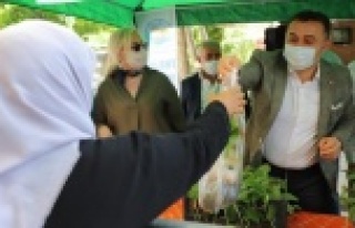 Alanya Belediyesi fide dağıtıyor