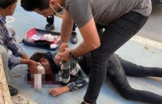 Alanya'da köpeğe çarpan sürücü ağır yaralandı