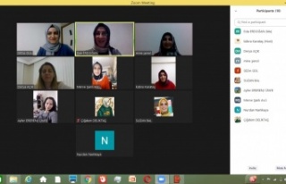 Alanyalı öğrenciler laboratuvarı eve taşıdı