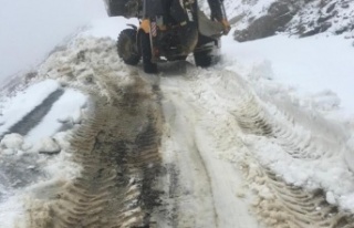 Antalya Büyükşehir Belediyesi'nden karla mücadele...