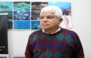 Antalya'da balon balıkları oltalara 4'er...