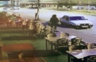 Bu da çiçek hırsızı