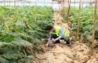 Çiftçinin toprağı analiz ediliyor