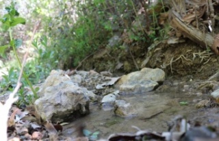 Gazipaşa'da bir sondaj kuyusu 6 kaynağı kuruttu