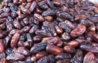 İftar sofralarının vazgeçilmezi hurma satışları...