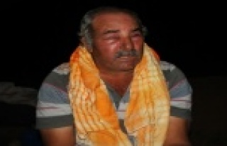 Keçilerini otlatan çoban arıların saldırısına...