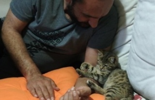 Kediyi sahiplenene 1 yıl boyunca ücretsiz jimnastik...