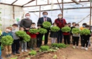 Minikler serada organik sebze yetiştiriyor