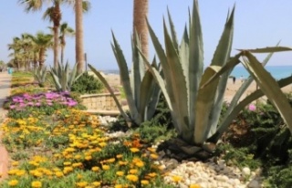 Oba ve Tosmur’da peyzaj çalışması