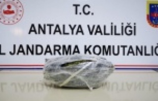 Otobüsle uyuşturucu ticareti jandarmaya takıldı