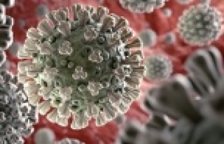 Pandemide son durum!